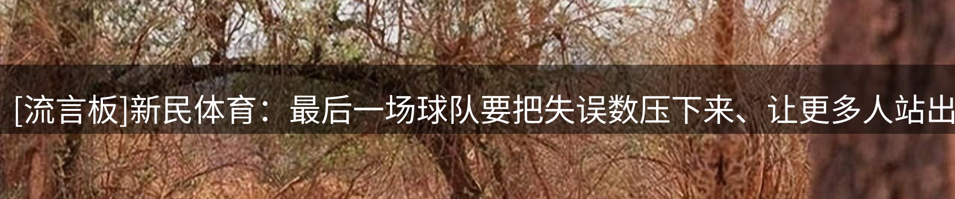 公司消息
